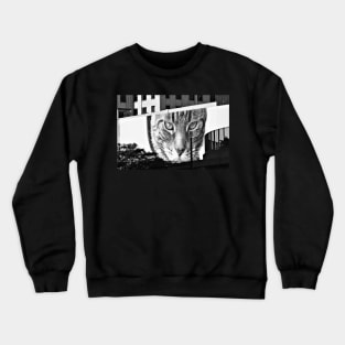 Detroit cat Crewneck Sweatshirt